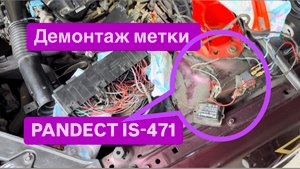 Демонтаж метки Pandect IS-471