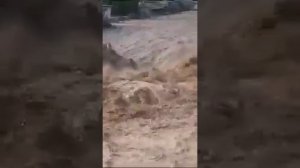 сели калон