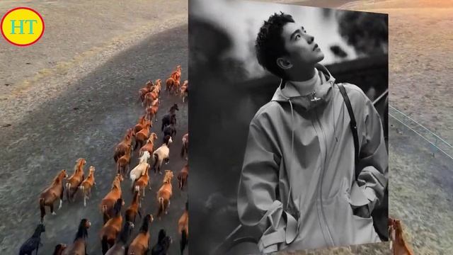 杨洋：不为名利而来，不为留言而离开