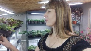 Какие лампы выбрать для подсветки цветов и рассады зимой. Делюсь опытом. Бюджетный вариант.