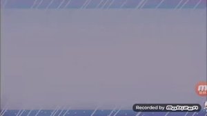 Топ 5 {robo kitty meme}