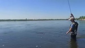 Нахлыст в Иркутске по сороге