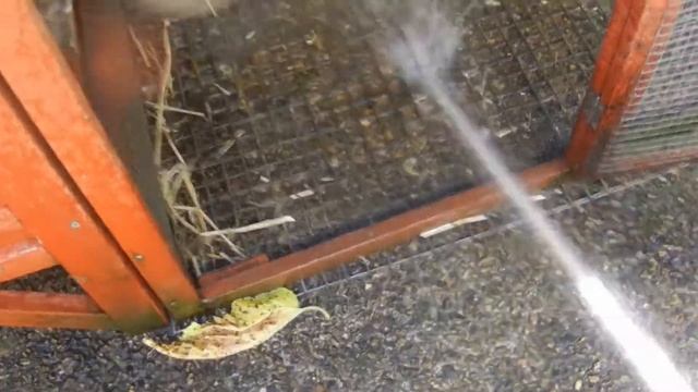 How to please your girl смотреть онлайн