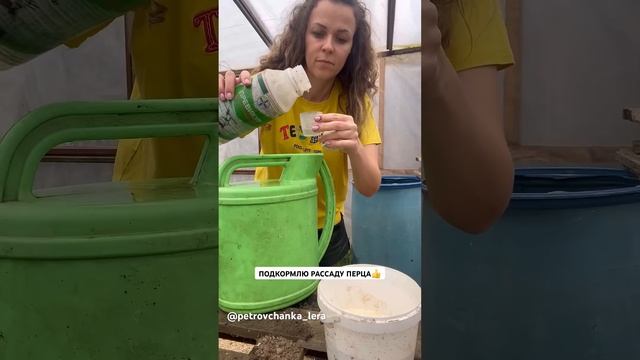 #жизньзагородом #садогород #огород БОЛЬШЕ ВИДЕО 👉 https://t.me/petrovchanka_lera