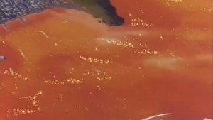 20 Серия  Transformers Masterforce rus   Novi' Drug Shestizaryadnik