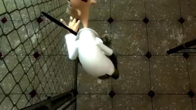 история фуфелшмерца и перри утконоса перезалив с youtube