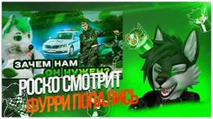 🐺 Роско смотрит Гриню - Фурри оштрафовали на мотоцикле! K & Grinya