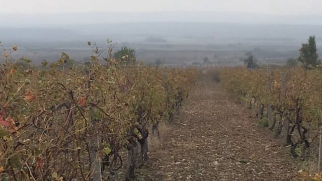 Болгария 2014 смотреть онлайн