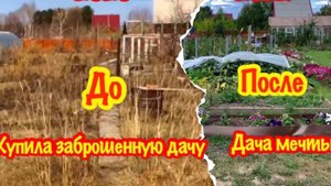 КАК СИЛЬНО Я ОШИБЛАСЬ,КУПИВ ЗАБРОШЕННУЮ ДАЧУ?/ДАЧА С НУЛЯ ЖЕНСКИМИ РУКАМИ/2 ГОДА КАТОРГИ/ДО И ПОСЛЕ
