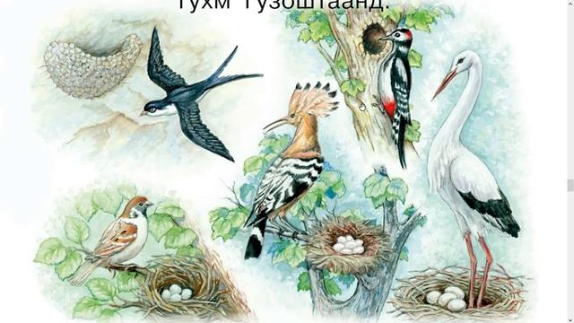 Ҳикояҳо барои кӯдакон\Children stories in Tajik смотреть онлайн