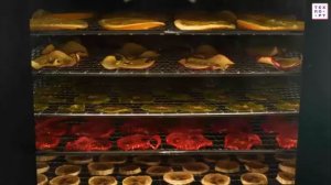 Сушилка ZFD 411