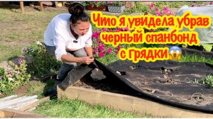 ЧТО Я УВИДЕЛА УБРАВ ЧЁРНЫЙ СПАНБОНД С ВЫСОКОЙ ГРЯДКИ?/ВРЕДЕН ЛИ ЧЁРНЫЙ СПАНБОНД?/ДАЧНЫЙ СЕЗОН