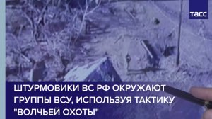 Штурмовики ВС РФ окружают группы ВСУ, используя тактику "волчьей охоты"