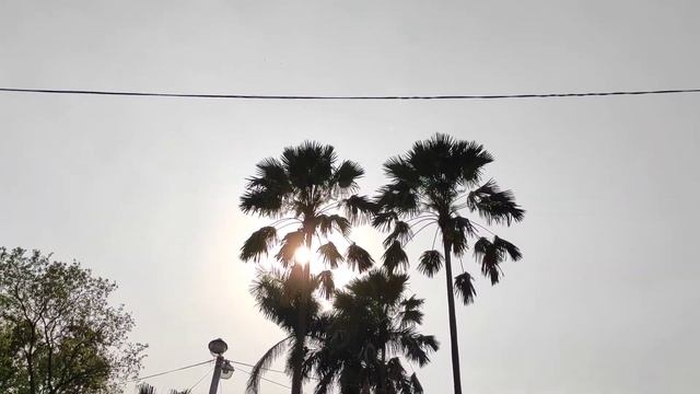 "ZARIN'S VISIT TO THE BOOK FAIR" 📖📖 смотреть онлайн