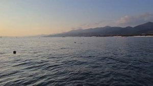 ДЕЛЬФИНЫ В КАБАРДИНКЕ. КРАСИВЫЙ ЗАКАТ #кабардинка