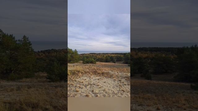 Куршская коса.