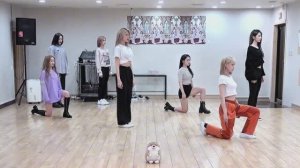 Dreamcatcher - Deja Vu dance practice mirrored