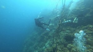 Дайв с черепахами на Моалбоал