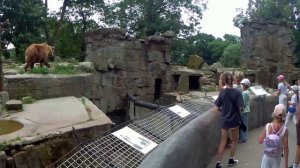 Калининградский Зоопарк  июль 2023г