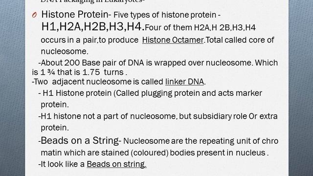 Molecular Basis Of Inheritance(part6)