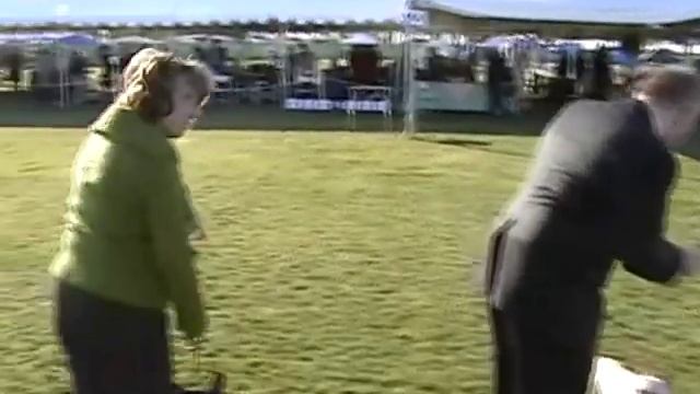 French Bulldog, Ch. Jackpot! Sirius Stargate Pettybull wins his Championship in Palm Springs смотреть онлайн