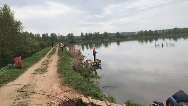 20 мая 2017 г. смотреть онлайн