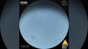 Наш Северный Полюс (2017)