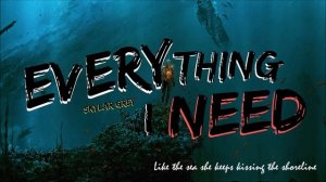 [SONG COVER] Everything I need (Skylar Grey)