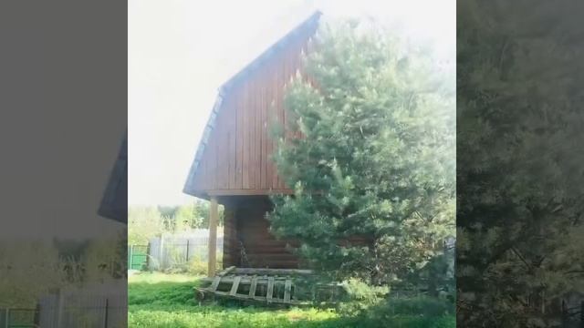 Продажа дачи смотреть онлайн