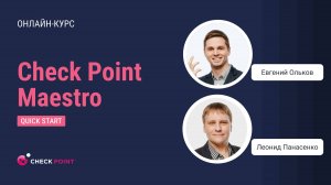 Бесплатный курс Check Point Maestro Quick Start. Урок 4: Economics