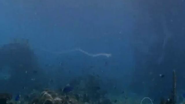 H2O: Just Add Water - Emma.Cleo.Rikki - BFF's смотреть онлайн