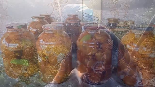 Закрутила помидоры  //  Урожай моркови //
