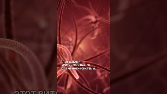 💊Нервный витамин смотреть онлайн