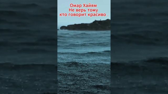 Омар Хайям. Не верь тому кто говорит красиво . #like #2024 #подписаться #видео