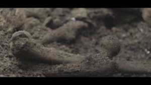 Поисковый отряд.