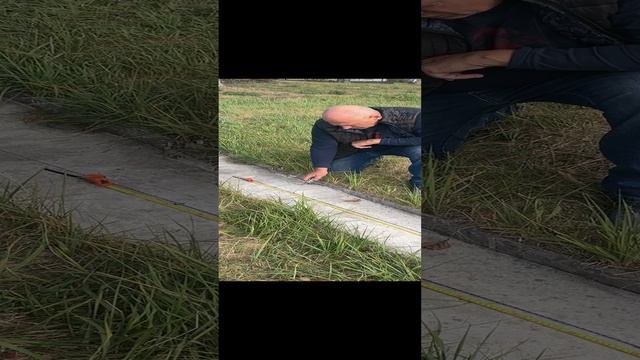 20-11-2024 смотреть онлайн