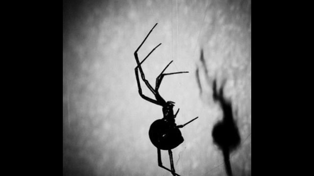 Skinny Puppy - Vx Gas Attack смотреть онлайн