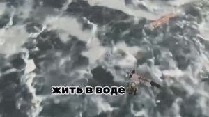 Рыбки любят жить в воде)! 🙄😈