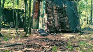 КрОвоборье...