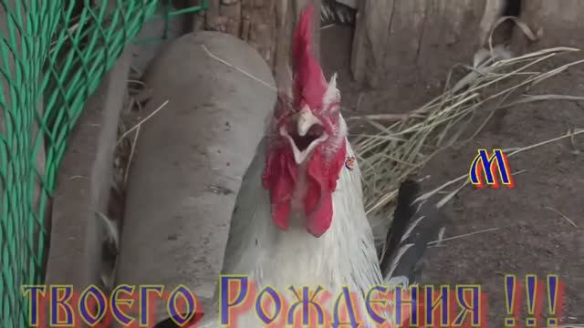 С Днём Рождения !