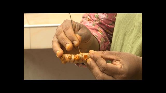 How to steam Turmeric in a pressure cooker смотреть онлайн