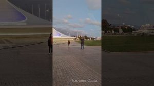 Олимпийский сад с Умницей Сашей😜