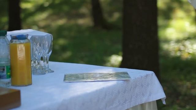 свадьба в Белгороде, видеооператор на свадьбу Добродомов Владимир, свадебное видео смотреть онлайн