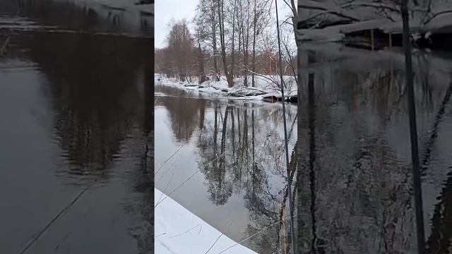 Невероятная красота #природамать #позитивноенастроение #природа #снег #хищникисвета #зима