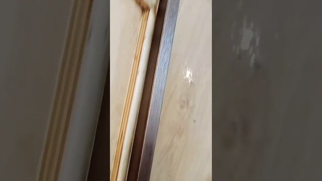 Қандала қайда жүреді/кімді шағады?Қандаладан оңай құтылу 2024 ж.қ
