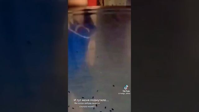 Что делать!?..🕷🫣 смотреть онлайн