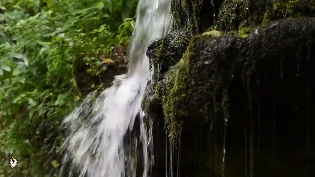 Водопад под Москвой_2? смотреть онлайн