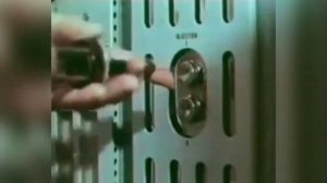 Кремний - элемент жизни! Кремний - основа жизни всех организмов! Вечная жизнь возможна!