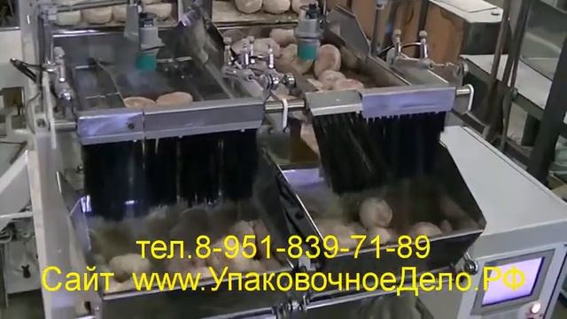 Фасовщик пряников Дозатор два ручья Автомат Оборудование для фасовки и упаковки пряников