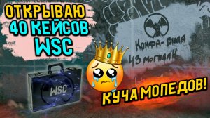 ОТКРЫВАЮ ДЮПАНЫЕ КЕЙСЫ WSC В WILL TO LIVE ONLINE В 2024 ГОДУ!